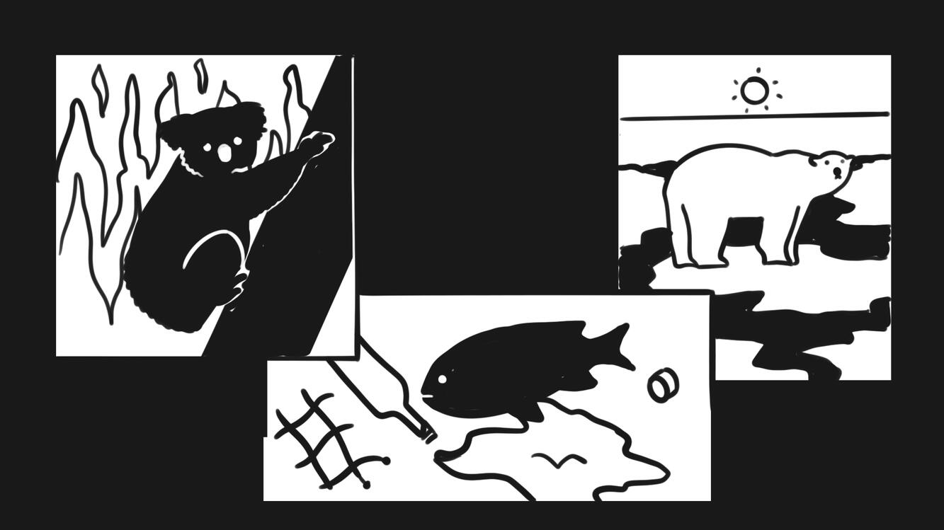 There are even more animals in the wild who often suffer.